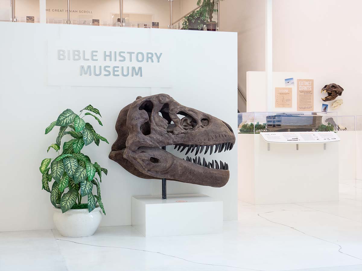 Museum
